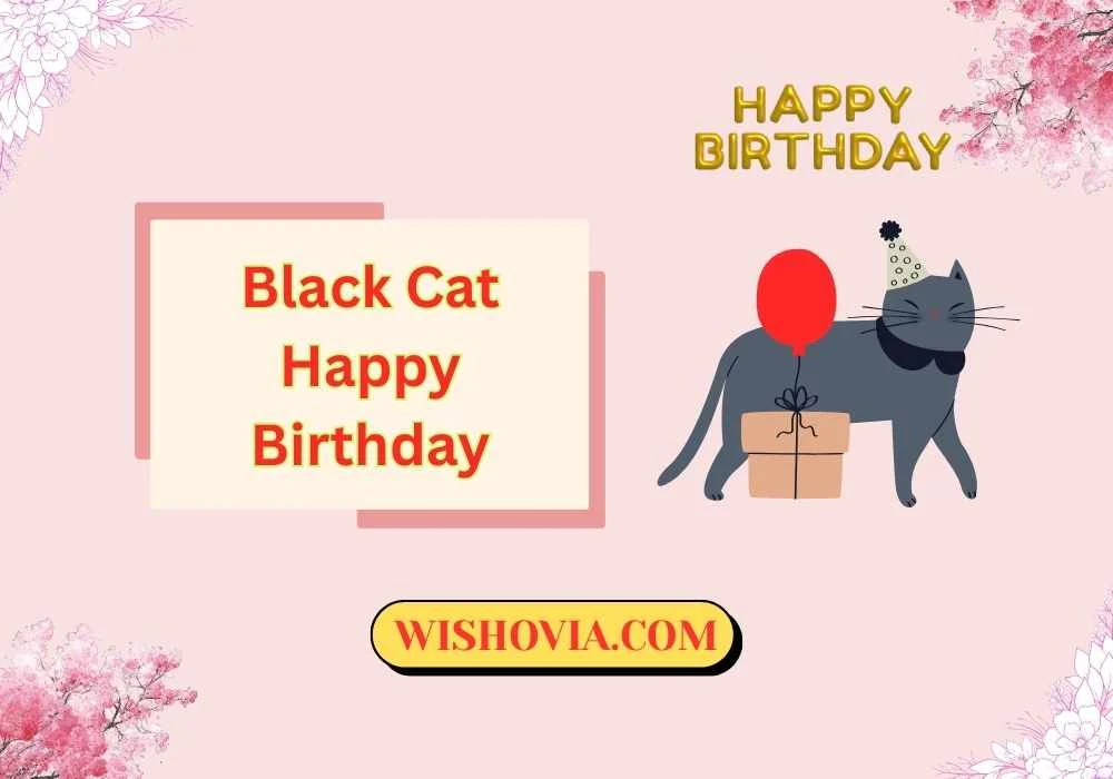  Birthday Wishes for Kittens