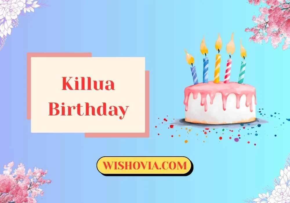 Killua Birthday