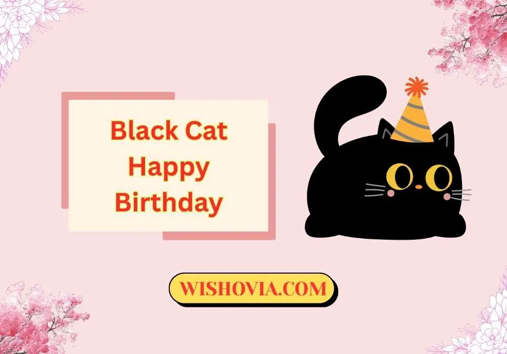  Magical Black Cat Happy Birthday