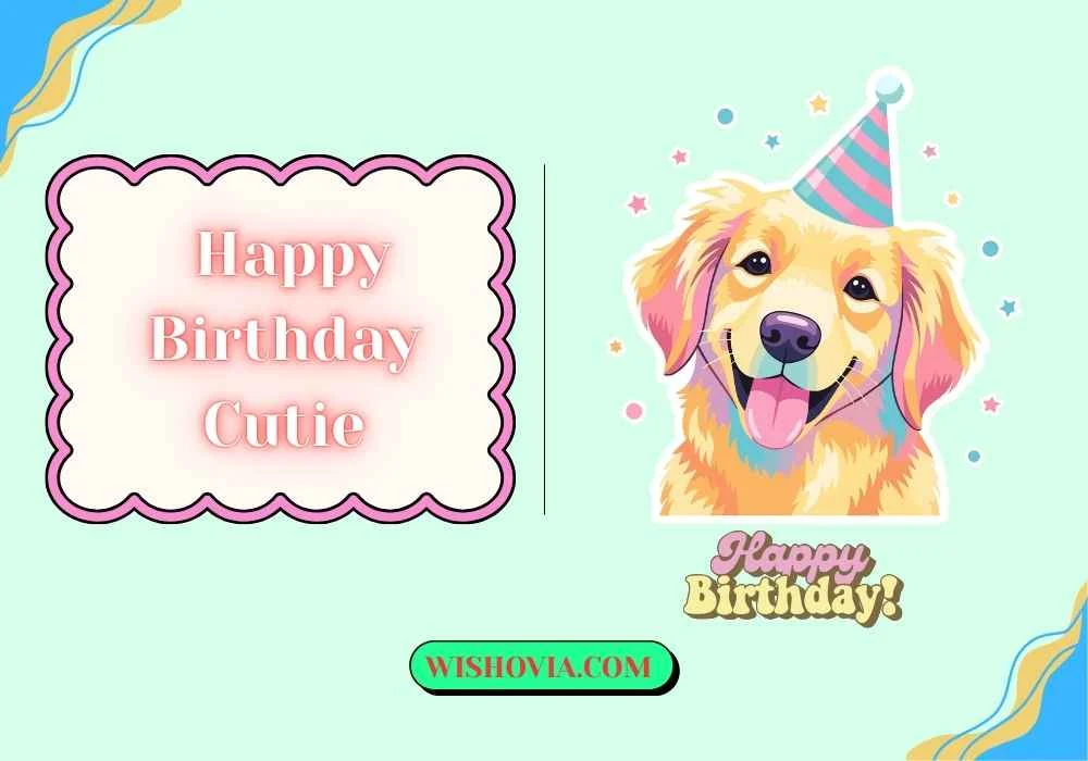 Cute Happy Birthday Cutie