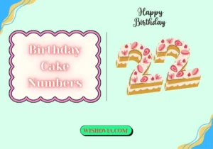 Birthday Cake Numbers