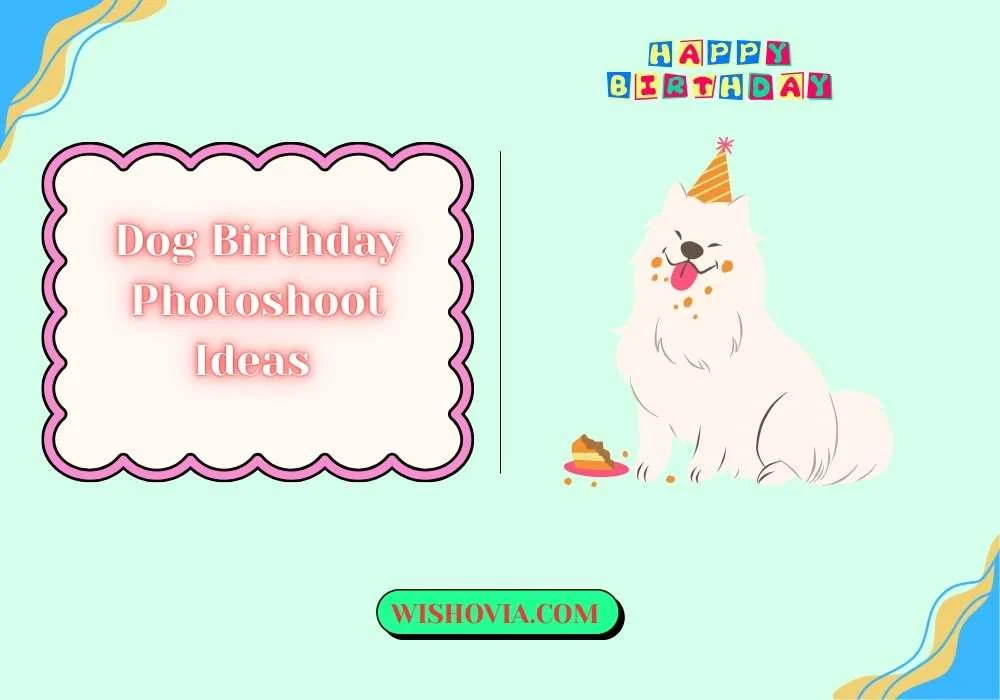 Dog Birthday Photoshoot Ideas