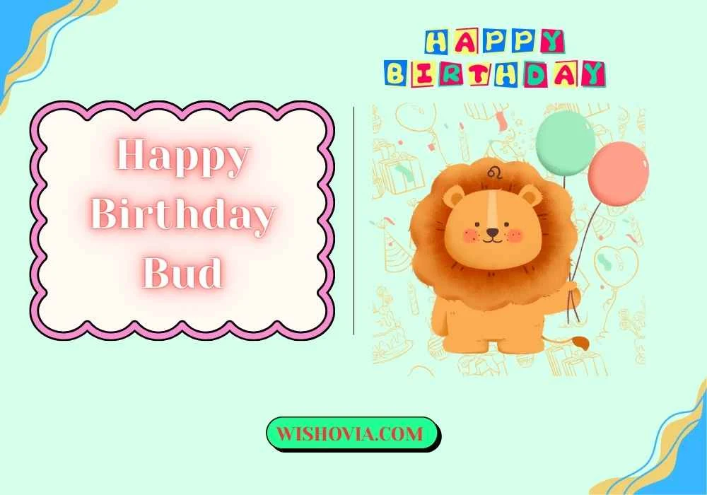 Funny Happy Birthday Bud