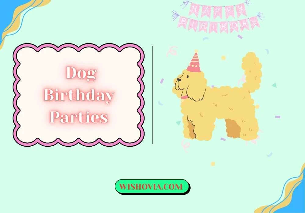 Heartwarming Wishes for a Dog’s