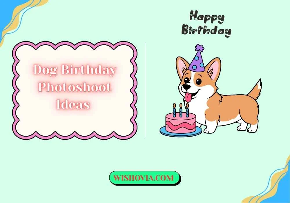 How to Share Your Dog Birthday Photos