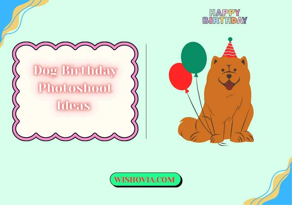 What Props Make Dog Birthday Photos Fun