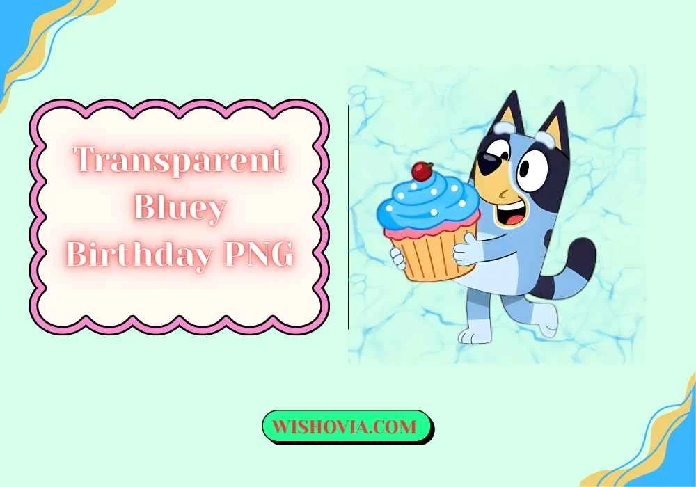 Where to Use Transparent Bluey Birthday